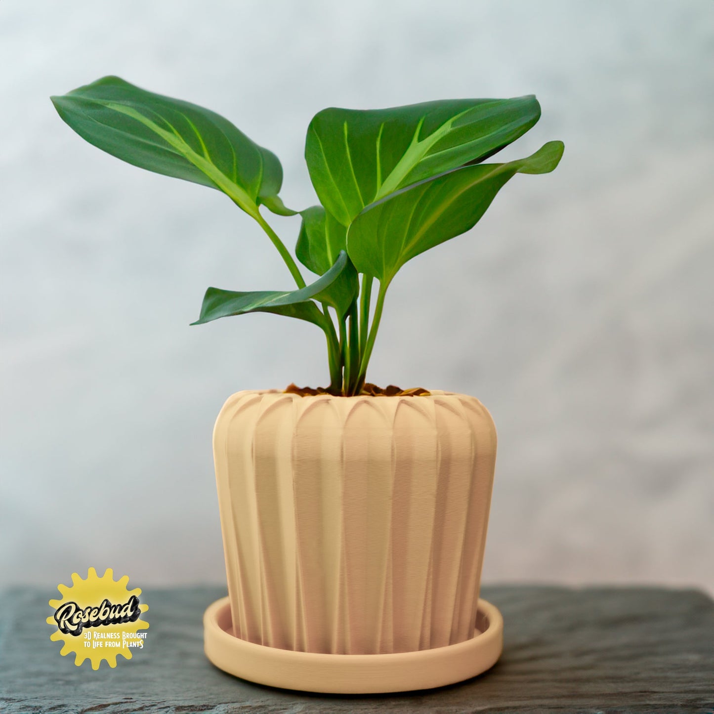 Lunar Bloom Plant Pot | Geometric Faceted Planter – Beige Pots & Planters