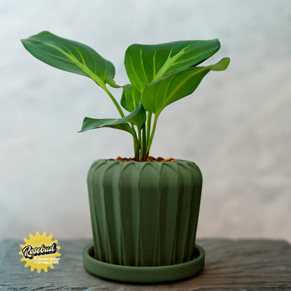 Lunar Bloom Plant Pot | Geometric Faceted Planter – Green Pots & Planters