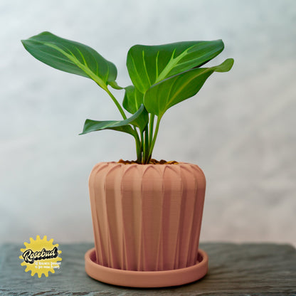 Lunar Bloom Plant Pot | Geometric Faceted Planter – Terracotta Pots & Planters