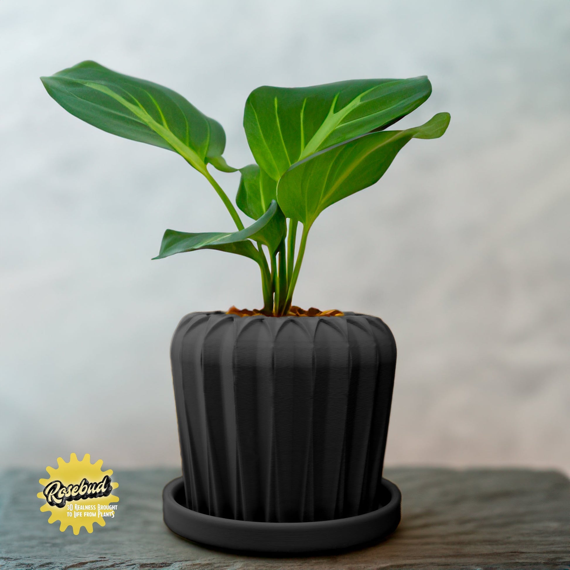 Lunar Bloom Plant Pot | Geometric Faceted Planter – Black Pots & Planters