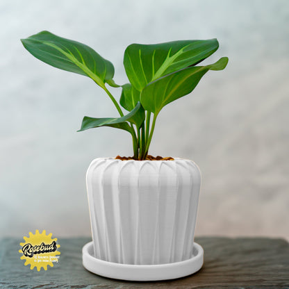 Lunar Bloom Plant Pot | Geometric Faceted Planter – White Pots & Planters