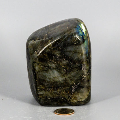 Labradorite "XL" High Flash Freeform