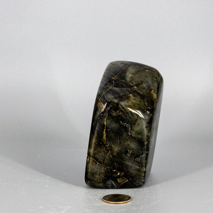 Labradorite "XL" High Flash Freeform