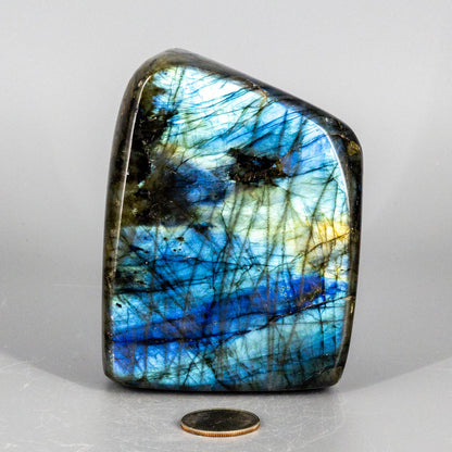 Labradorite "XL" High Flash Freeform
