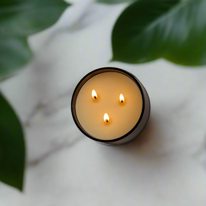Eucalyptus + Lavender - 3-Wick Candle