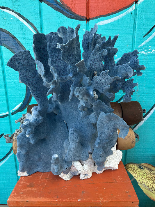 Vintage Blue Ridge Coral - Heliopora coerulea, Natural Coral Decor 19x15x8"