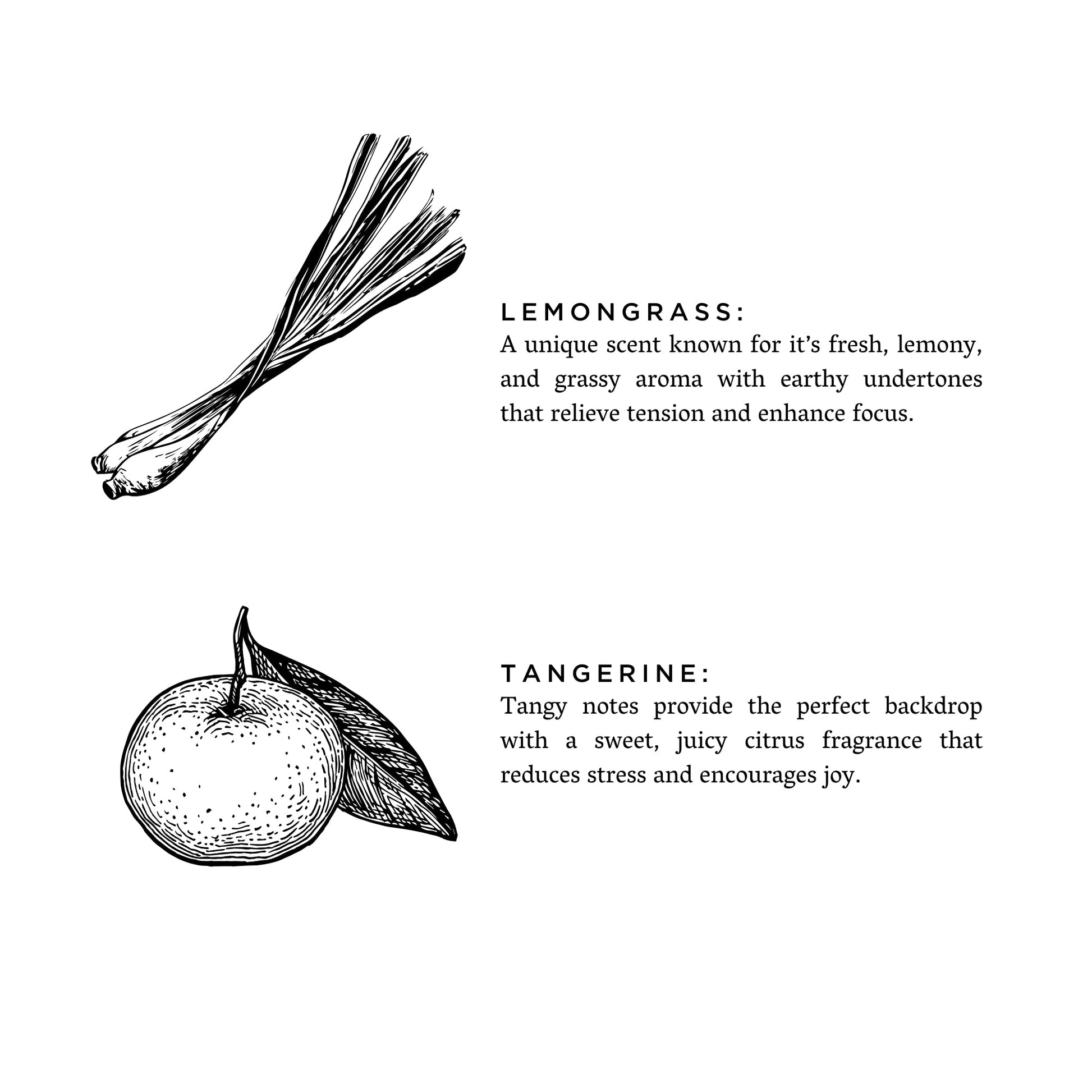Linen Spray - Lemongrass + Tangerine – Home Accessories