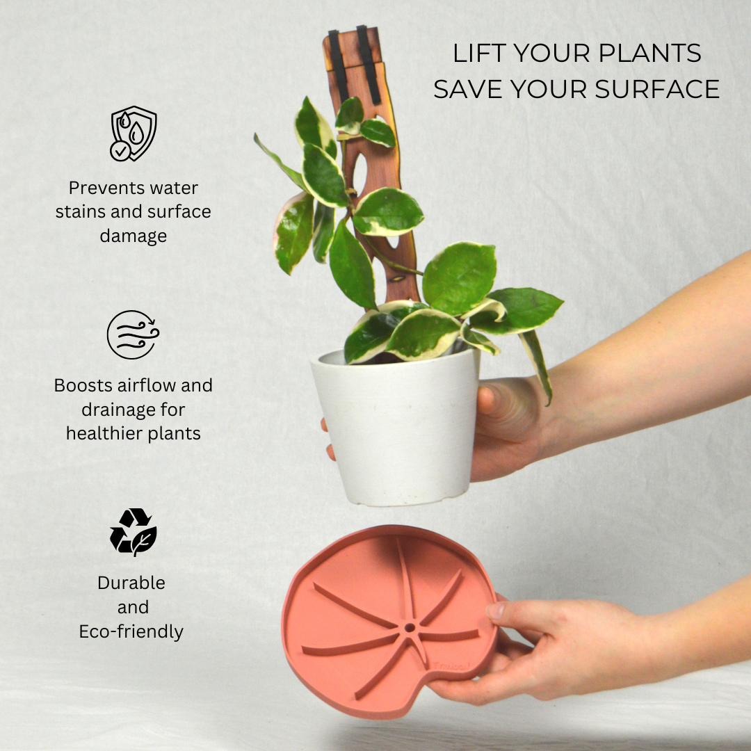 Lili Sausr - Lilly pad shaped Saucer - Spill tray - Drip tray for houseplants - Humidity tray