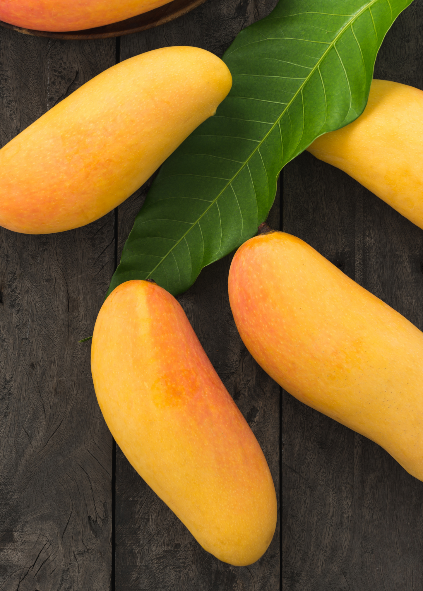 Mango 'Mahachanok' (Mangifera indica)