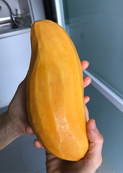 Mango 'Mahachanok' (Mangifera indica)
