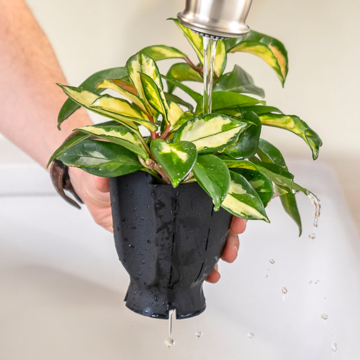 Ceramic Plant Pot with Removable Rubber Liner, Forest Green