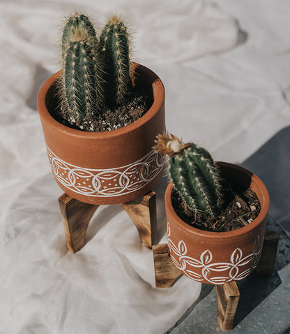Daksha Terracotta Plant Pot with Wood Stand - large – Garden