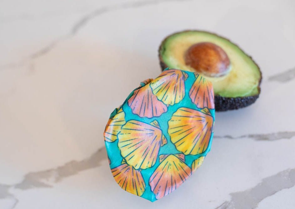 BULK ROLL Beeswax Wrap - Shells Print