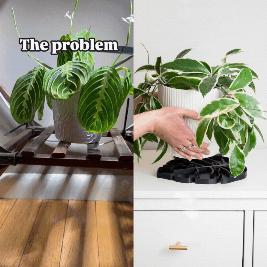 Tera Sausr - Leaf-shaped Pot Saucer - Drip tray for houseplants - Humidity tray