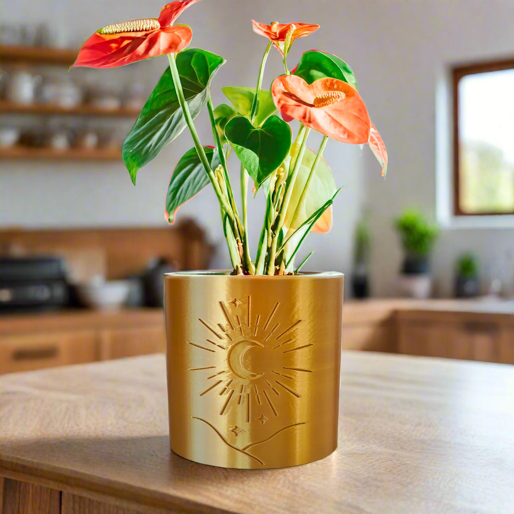 Moon Planter – Gold Pots & Planters