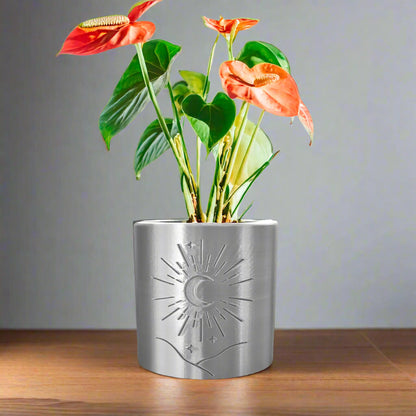 Moon Planter – Silver Pots & Planters