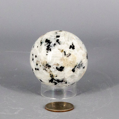 Moonstone Spheres 51-58MM – Moonstone 184g - 51mm Spheres