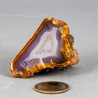 Moroccan Agate Geode Slice – Moroccan Agate 68g - 2.00" x 1.50" Geodes