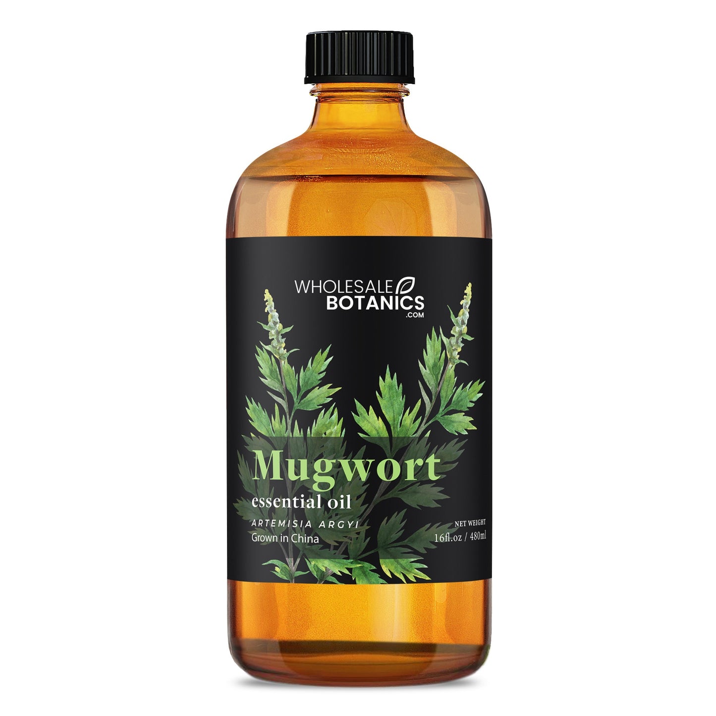 Mugwort Essential Oil – 16 oz Essential_Oil