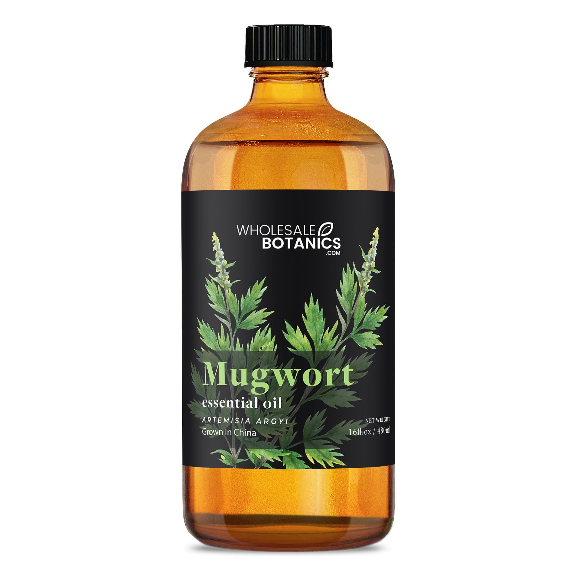 Mugwort Essential Oil – 16 oz Essential_Oil