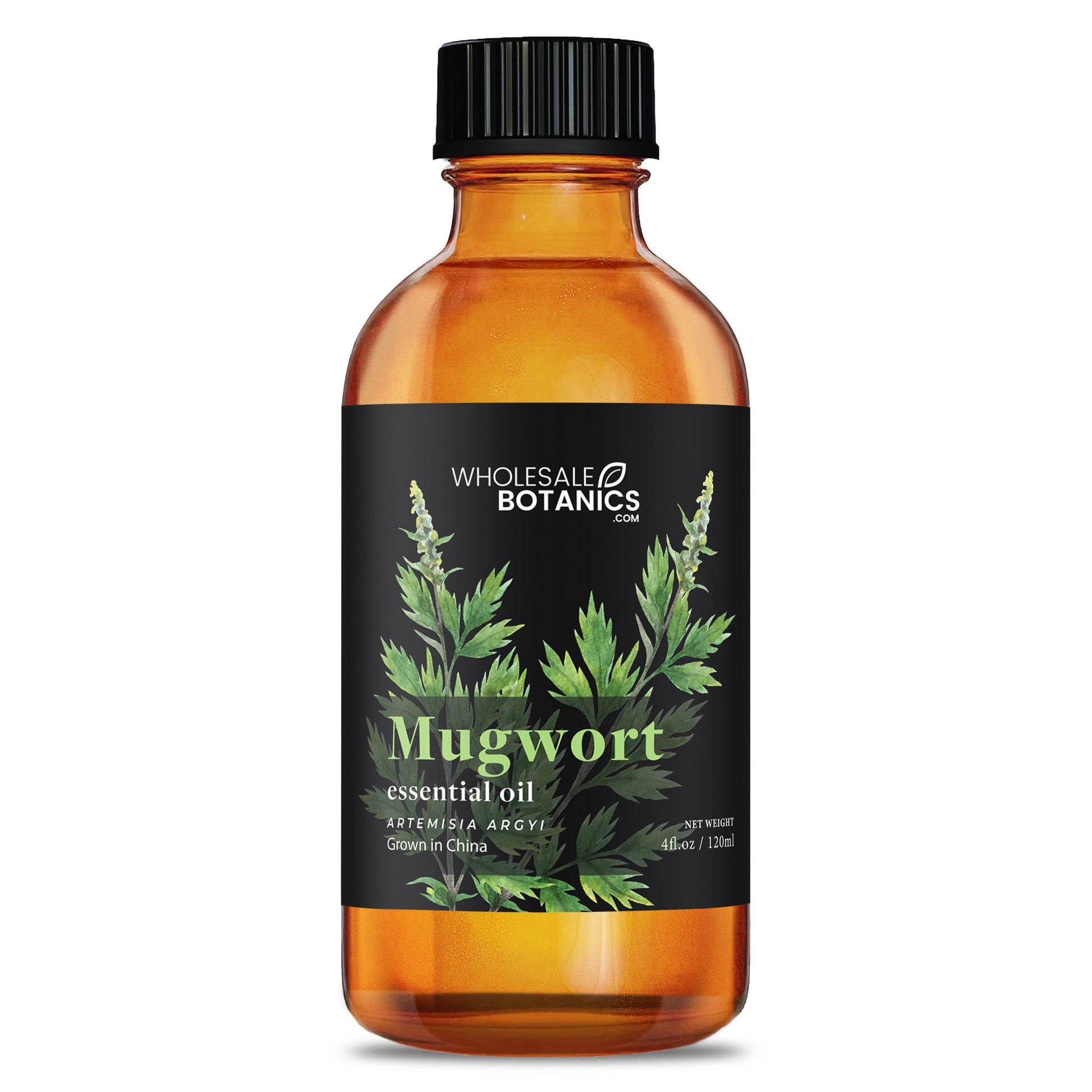 Mugwort Essential Oil – 4 oz Essential_Oil