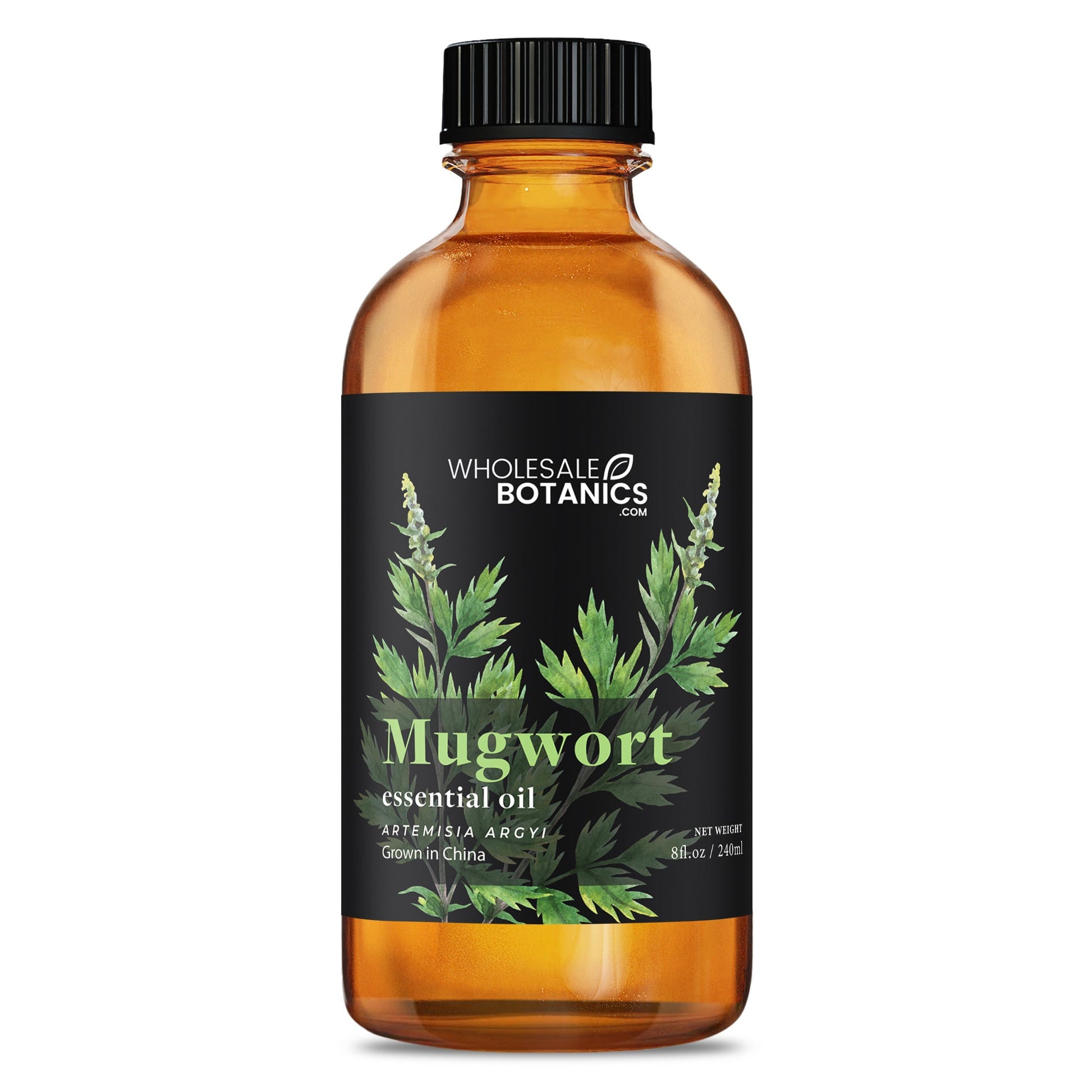 Mugwort Essential Oil – 8 oz Essential_Oil