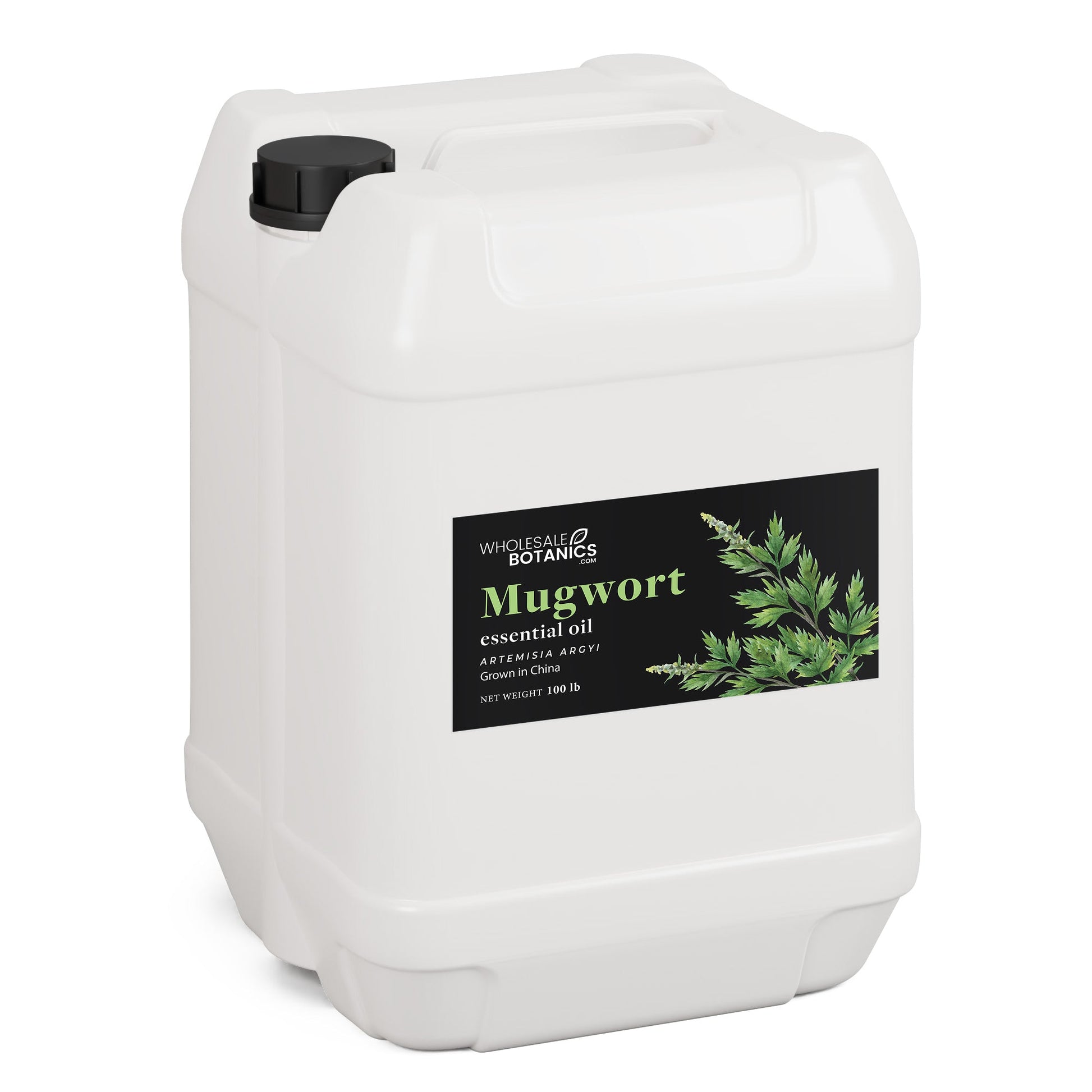 Mugwort Essential Oil – 100 lbs Essential_Oil