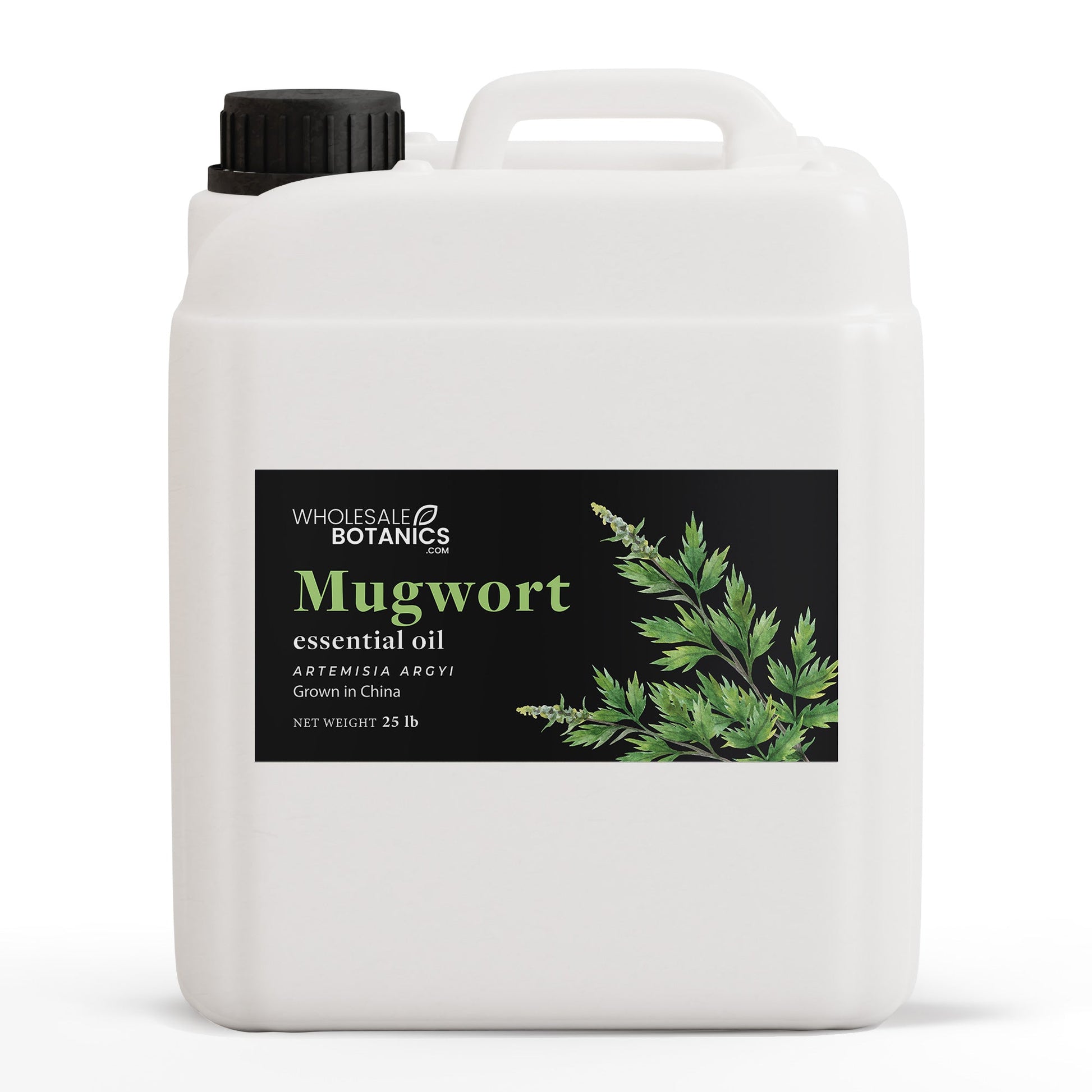 Mugwort Essential Oil – 25 lbs Essential_Oil