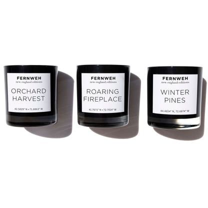 Roaring Fireplace Scented Soy Candle – New England