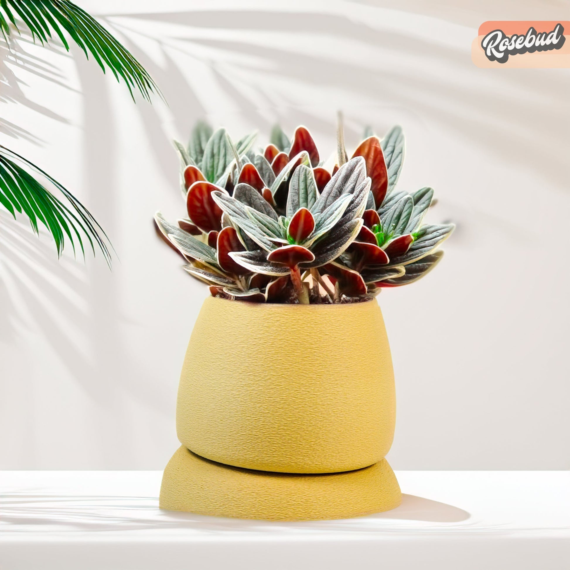 Nubium Planter – Pots & Planters