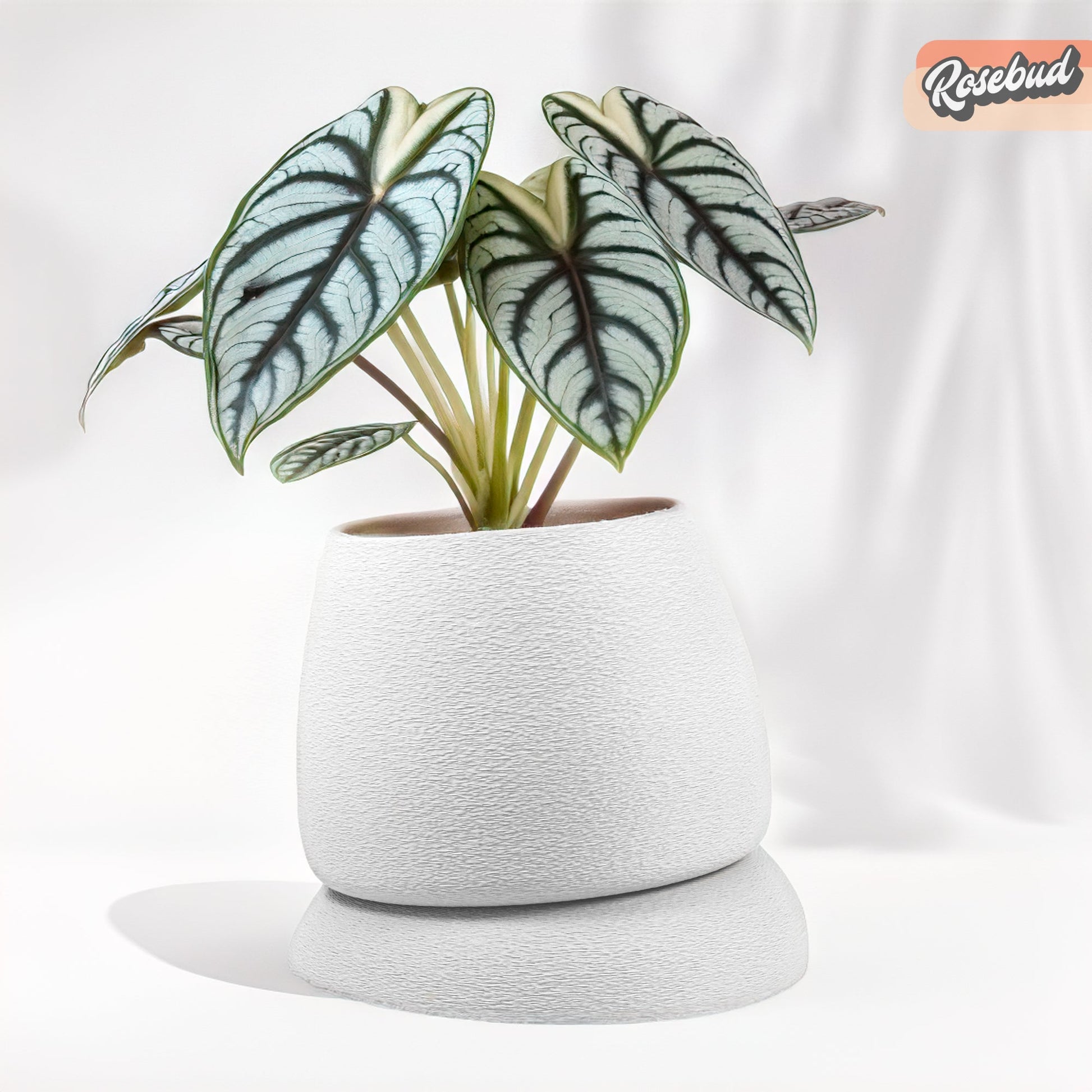 Nubium Planter – White Pots & Planters