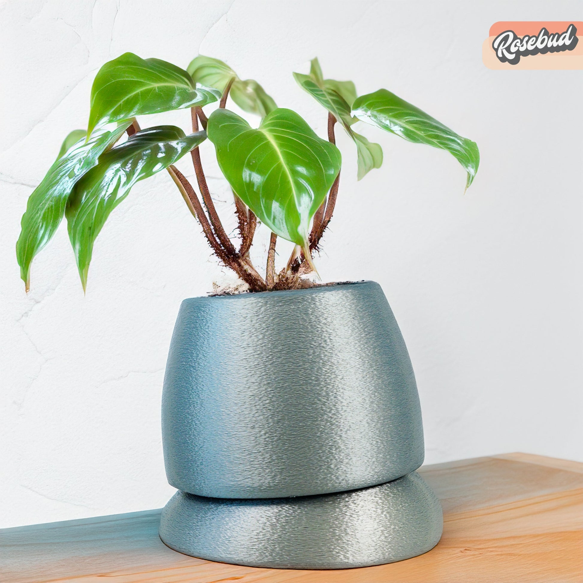 Nubium Planter – Silver Pots & Planters