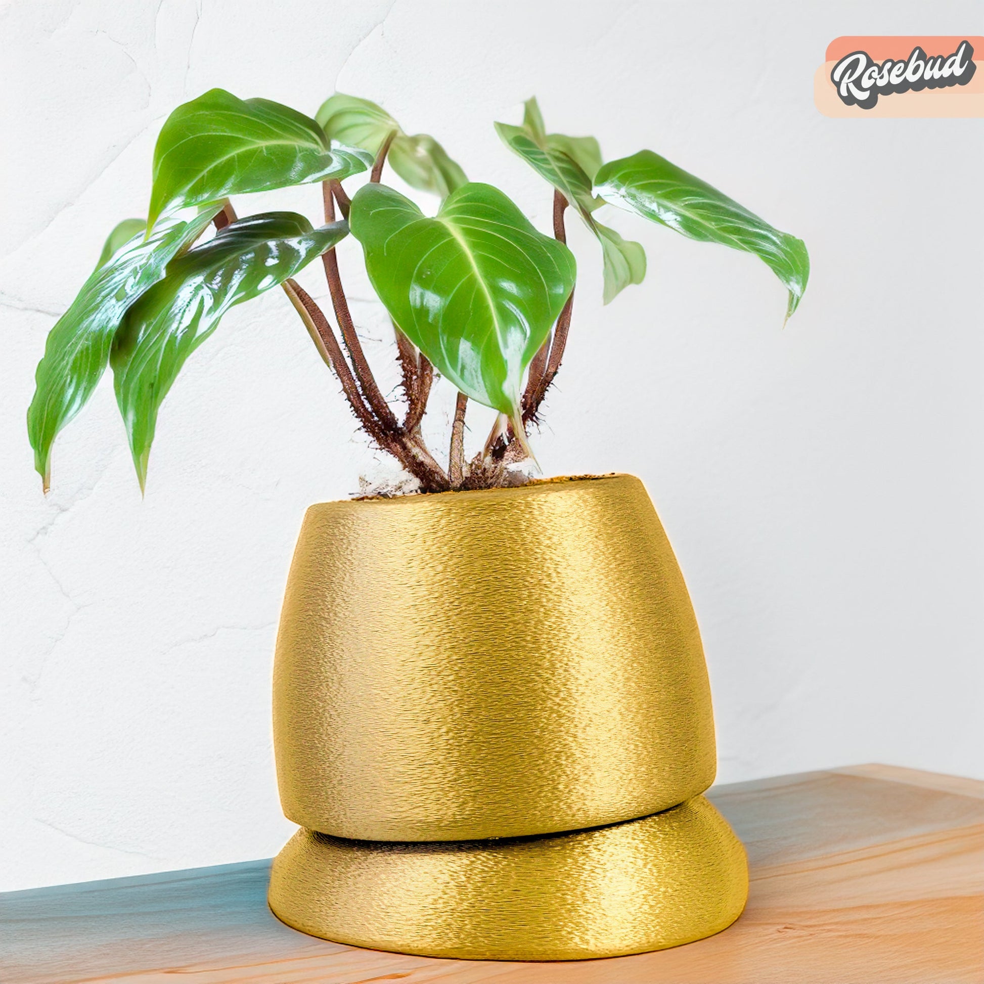 Nubium Planter – Gold Pots & Planters