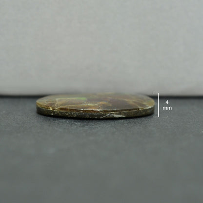 Ammolite Oval Cabochon 32 mm - 1 Piece