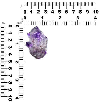 Shangaan Amethyst Crystal Collector's Corner Specimen 184.5 cts - 1 Piece – RP - Regular Price