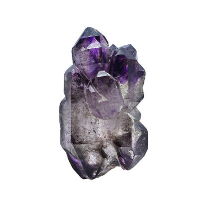 Starborn Shangaan Amethyst Crystal Collector's Corner Specimen 153.5 cts - 1 Piece – RP - Regular Price