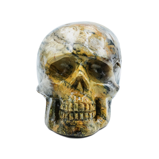 Hand-Carved Bumblebee Jasper Skull 2,550 cts - 1 Piece – RP - Regular Price