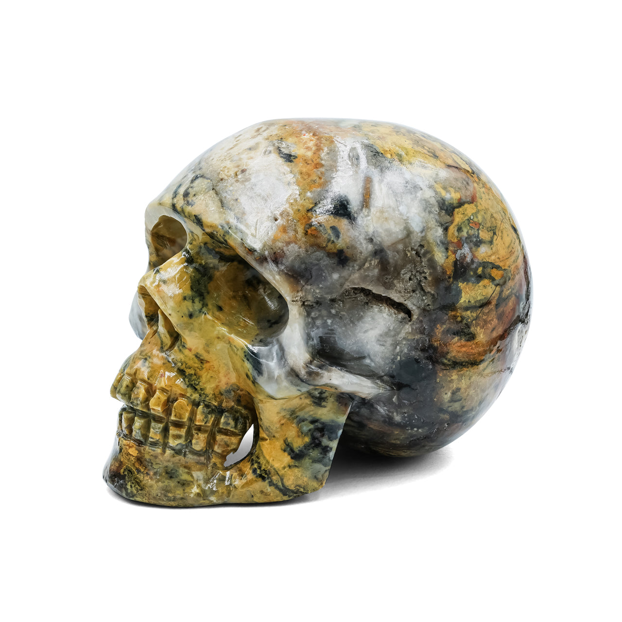 Hand-Carved Bumblebee Jasper Skull 2,550 cts - 1 Piece – RP - Regular Price
