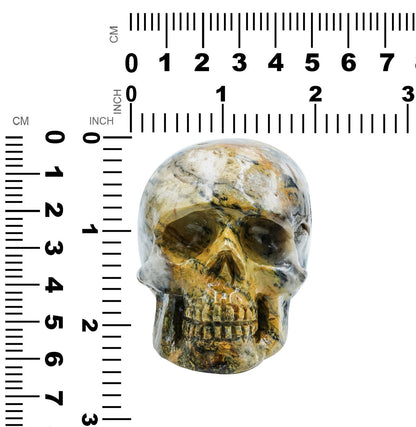 Hand-Carved Bumblebee Jasper Skull 2,550 cts - 1 Piece – RP - Regular Price