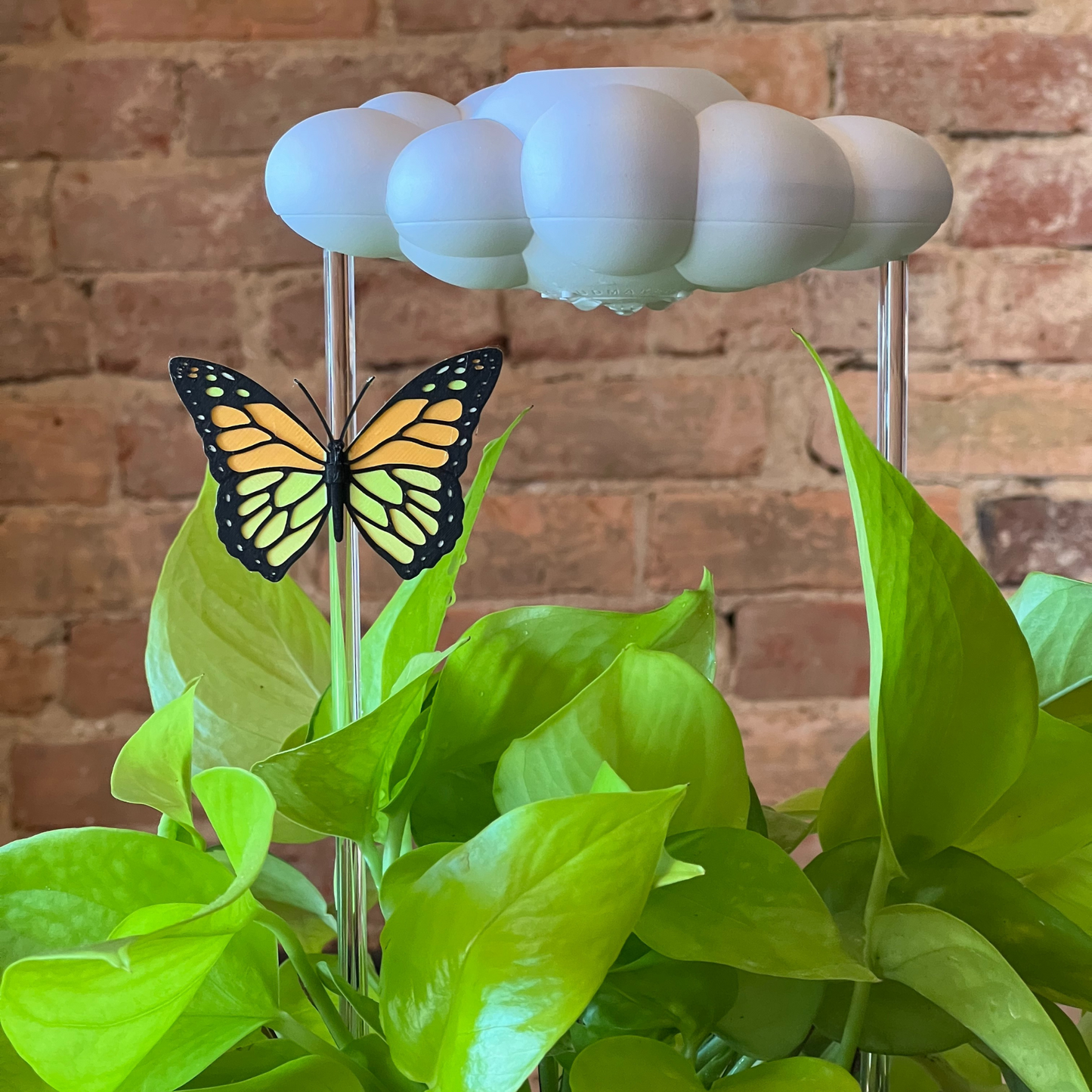 Original Dripping Rain Cloud with Orange Butterfly Charm – Clouds
