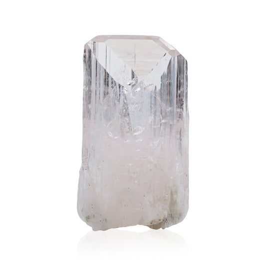 Starborn Danburite Crystal Collector's Corner Specimen 203 cts - 1 Piece – RP - Regular Price