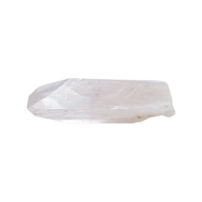Starborn Danburite Crystal Collector's Corner Specimen 203 cts - 1 Piece – RP - Regular Price