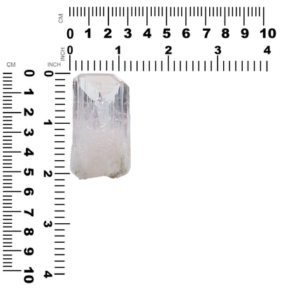 Starborn Danburite Crystal Collector's Corner Specimen 203 cts - 1 Piece – RP - Regular Price