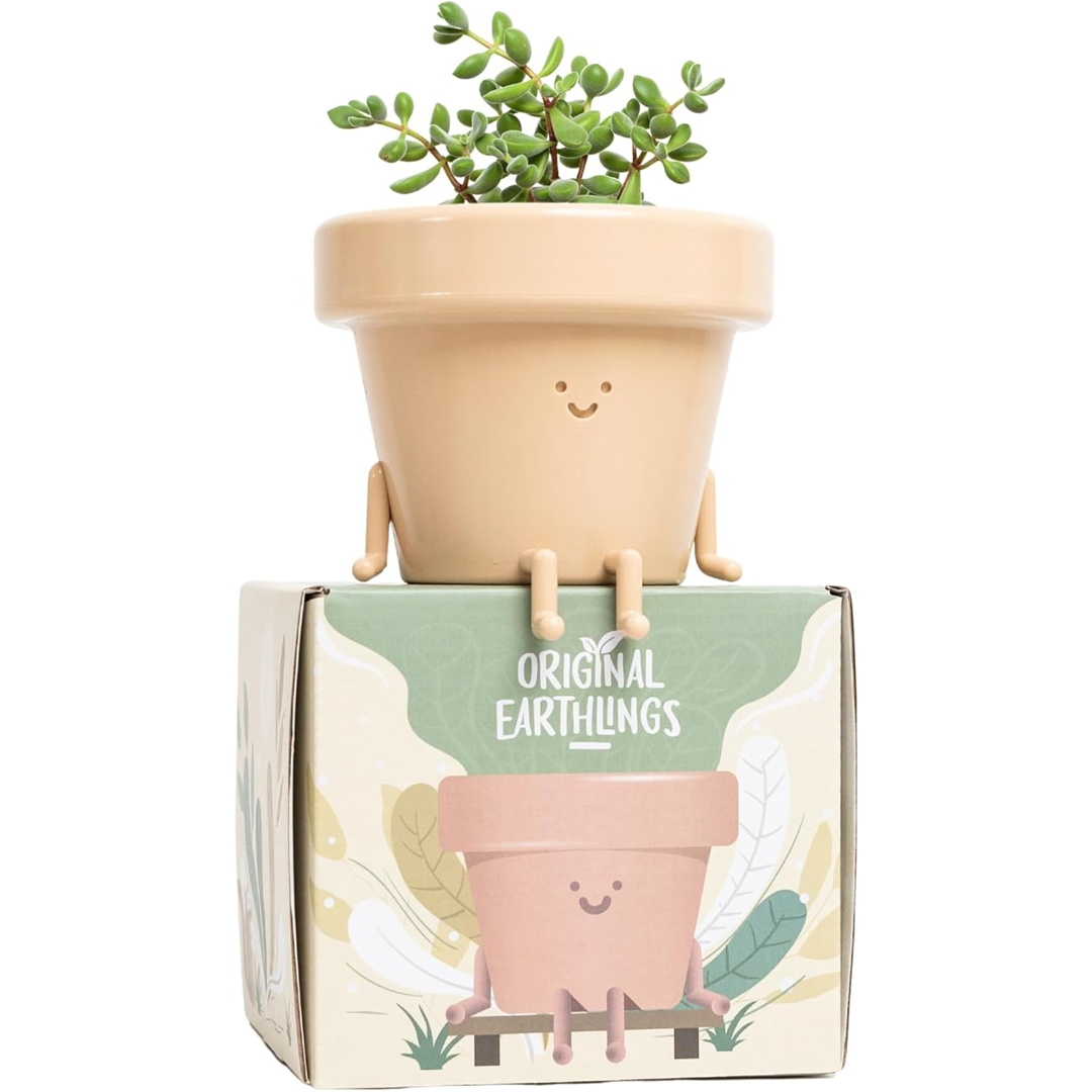 Frankie: Sitting Plant Pot –