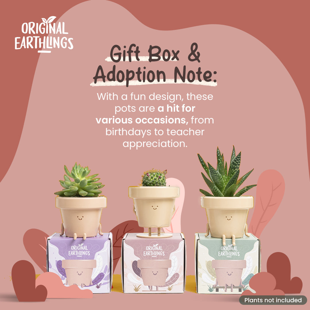 Charlie: Standing Plant Pot –