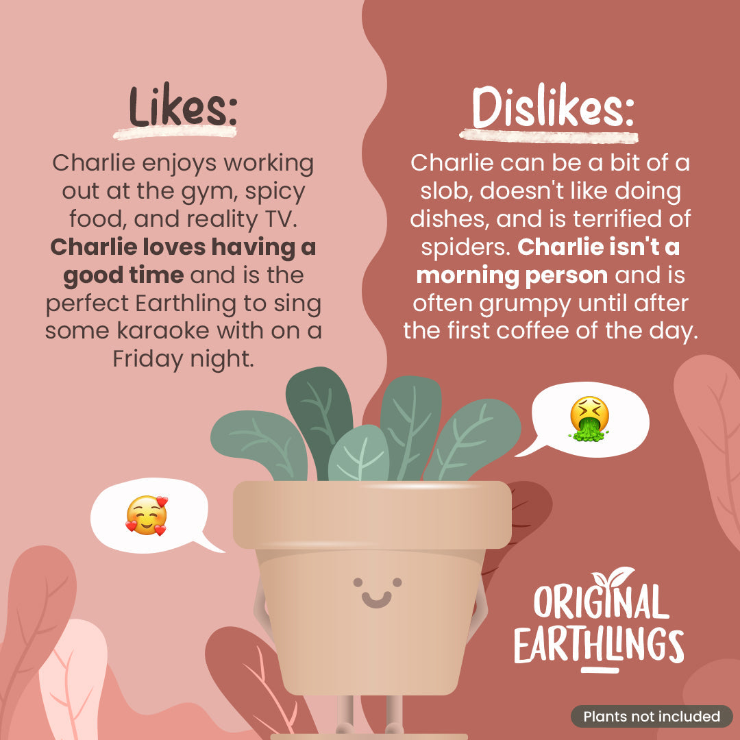 Charlie: Standing Plant Pot –