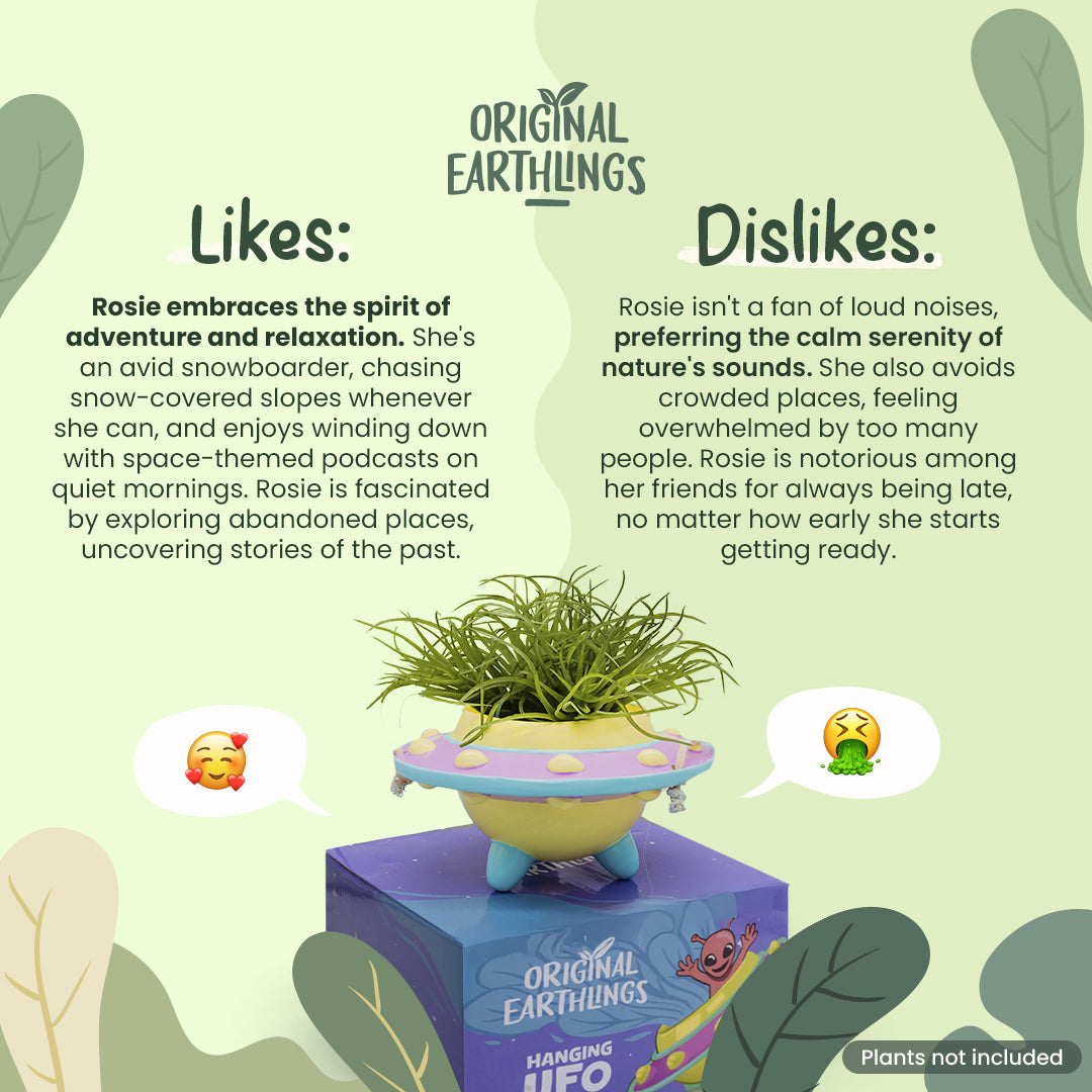 Rosie: UFO Hanging Plant Pot –