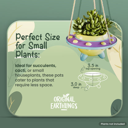 Rosie: UFO Hanging Plant Pot –