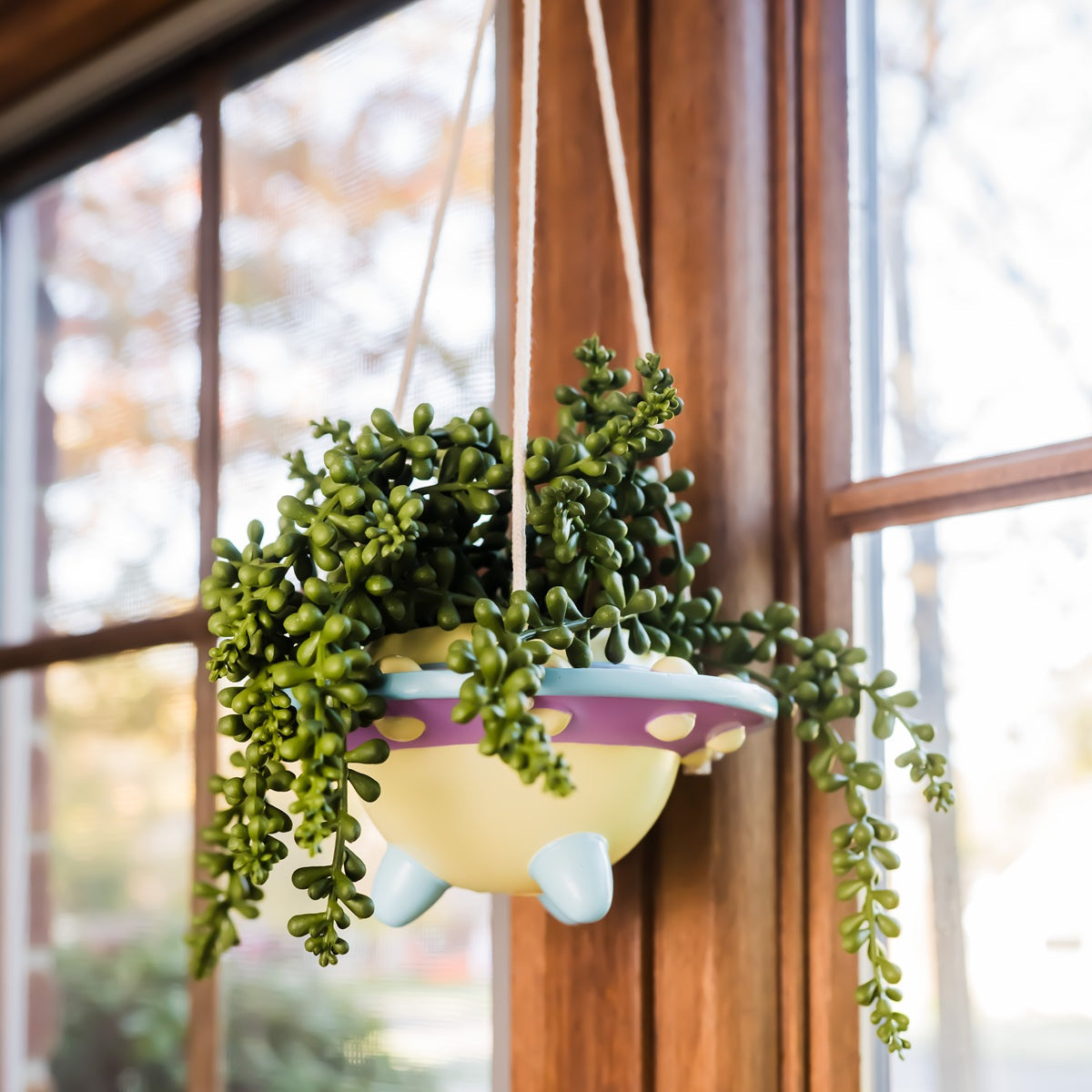 Rosie: UFO Hanging Plant Pot –