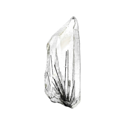 Starborn Clear Quartz Crystal with Black Rutile Collector's Corner Specimen 105 cts - 1 Piece – RP - Regular Price